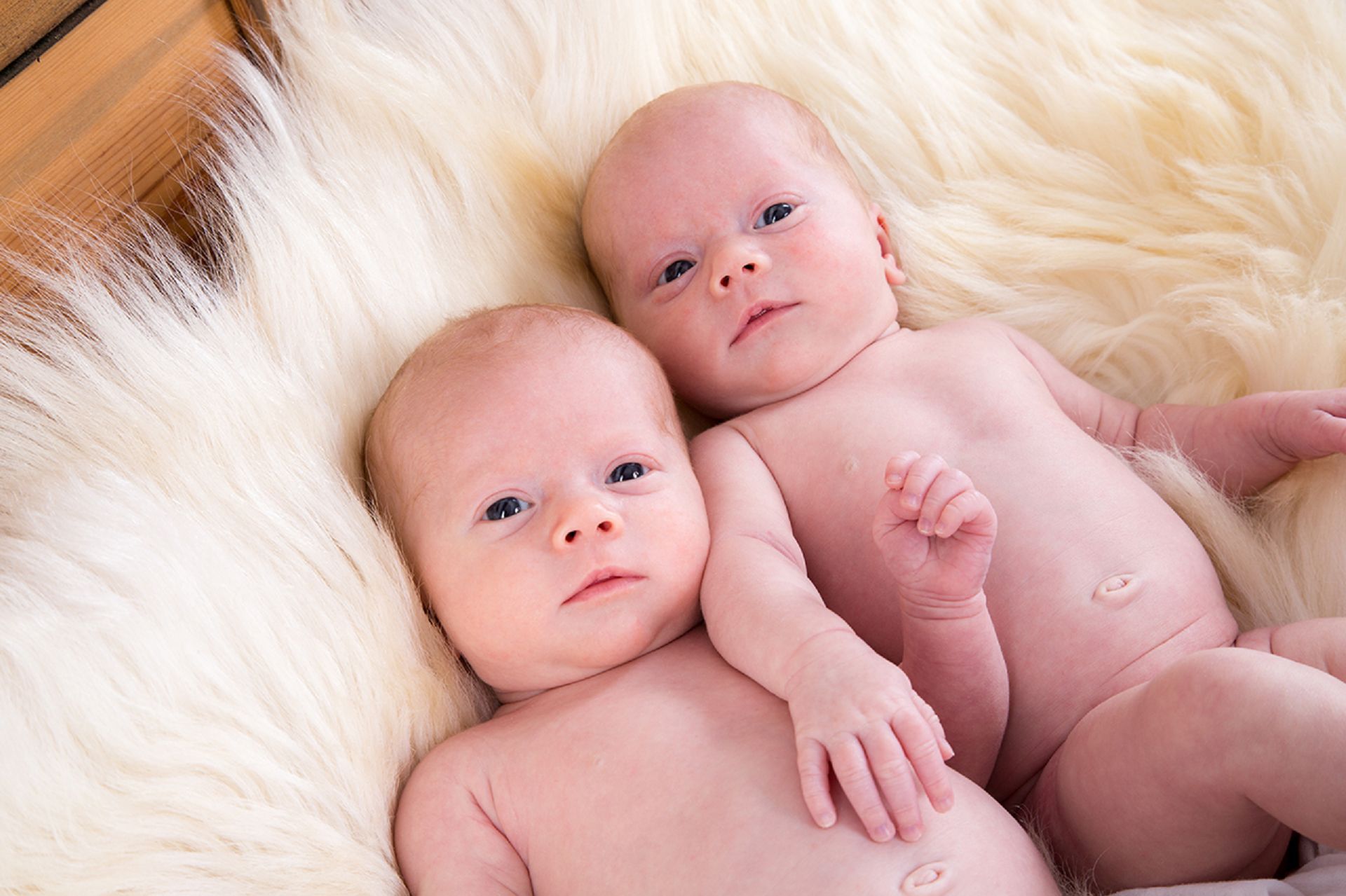 Fotoshooting Zwillingsbabys auf weissem Fell