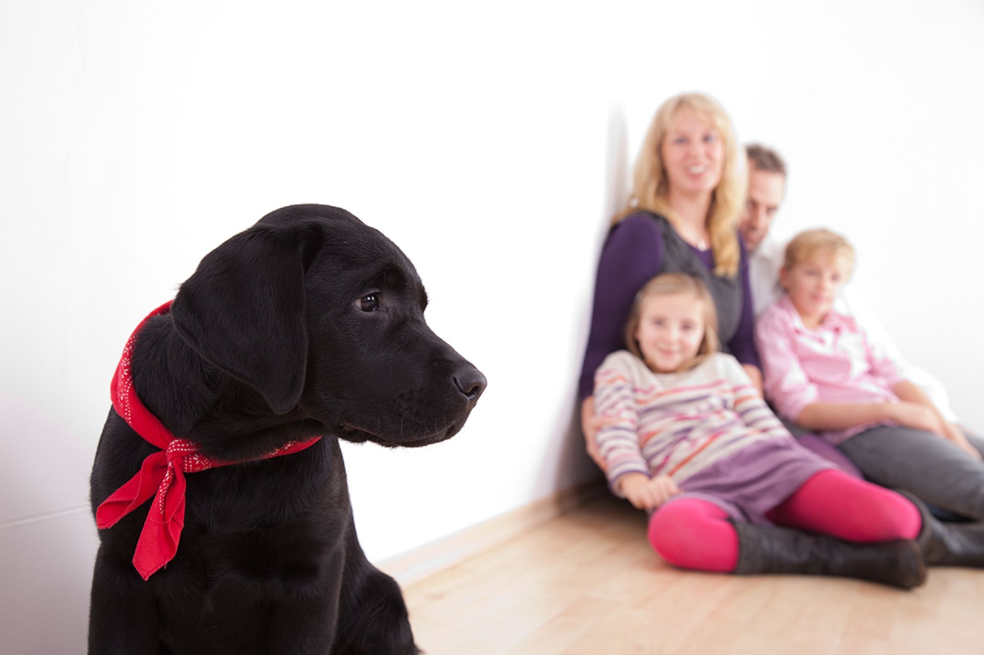 Familienfoto Mit Hund Im Studio