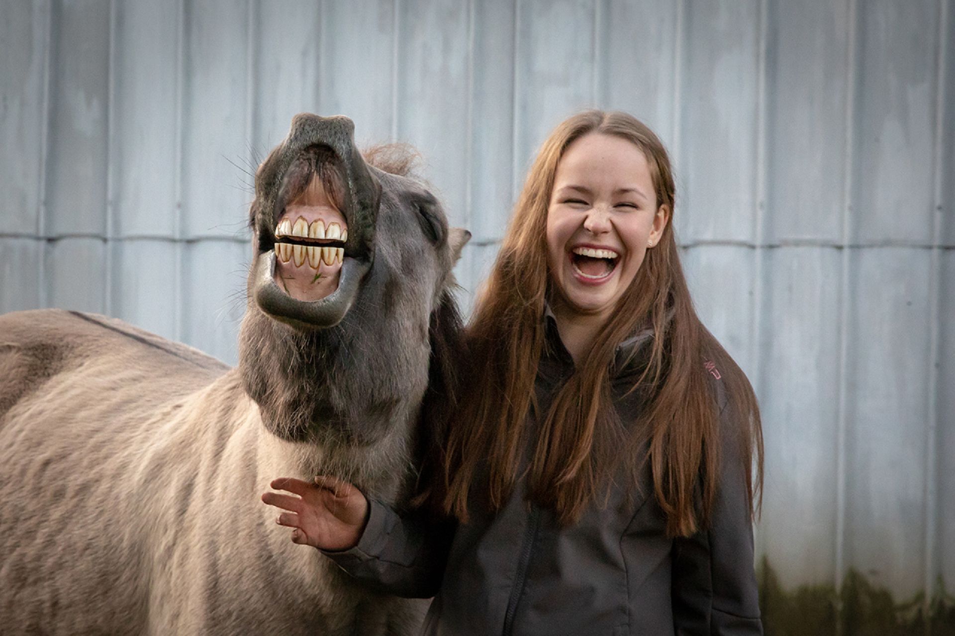 Lachen mit Mensch und Pferd
